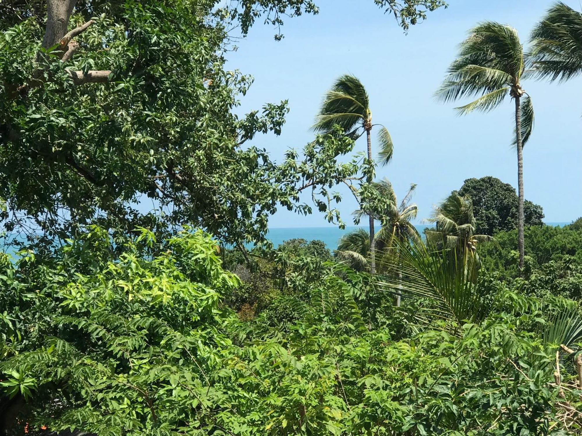 Private Lodge Beachside Samui Lamai Room photo